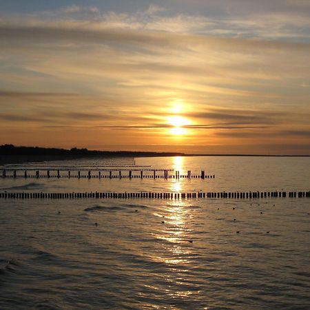 Wohnung 9 Meer-Ruhe Im Haus Stranddistel Komfortable Ferienwohnung Im 1 Og Fuer 4 Personen In Zingst Buitenkant foto