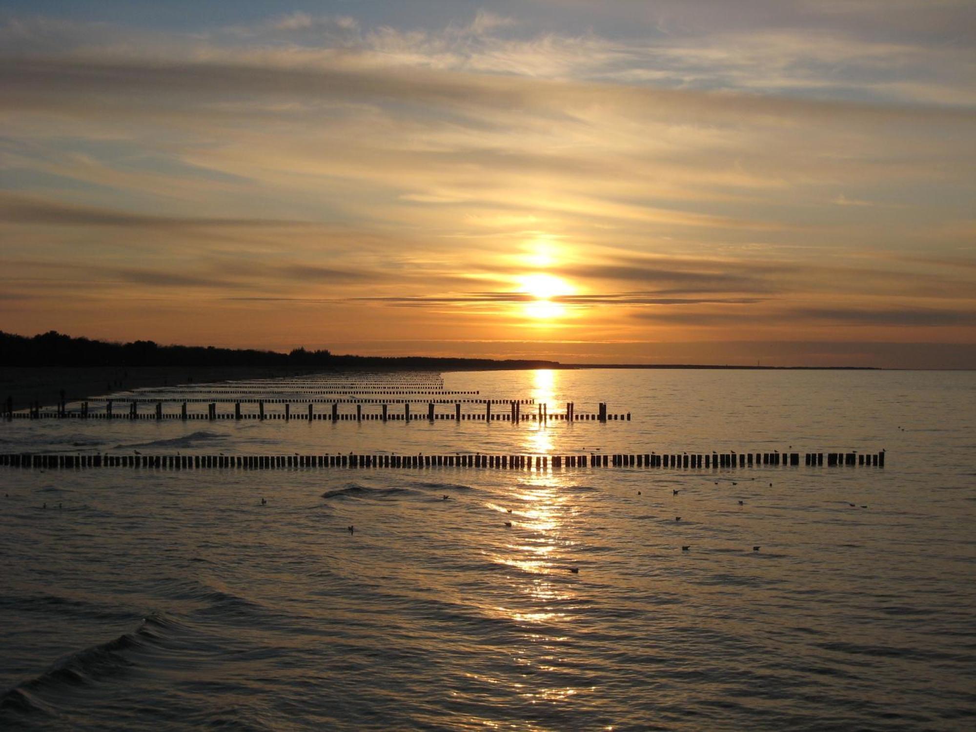 Wohnung 9 Meer-Ruhe Im Haus Stranddistel Komfortable Ferienwohnung Im 1 Og Fuer 4 Personen In Zingst Buitenkant foto